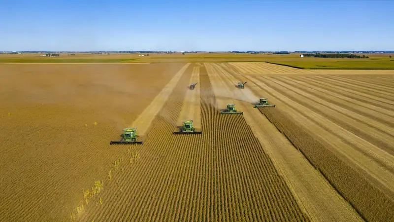 Cosecha en un campo llano, vista aérea.
